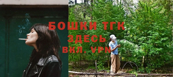 мдпв Корсаков