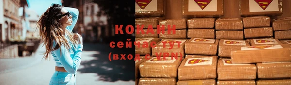 мдпв Корсаков