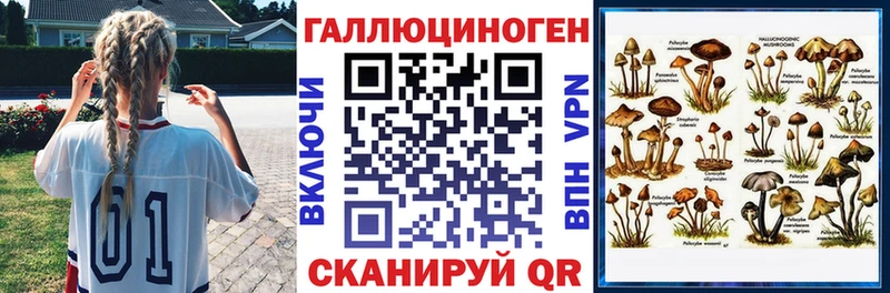 Псилоцибиновые грибы Psilocybine cubensis  Купить  Абаза 