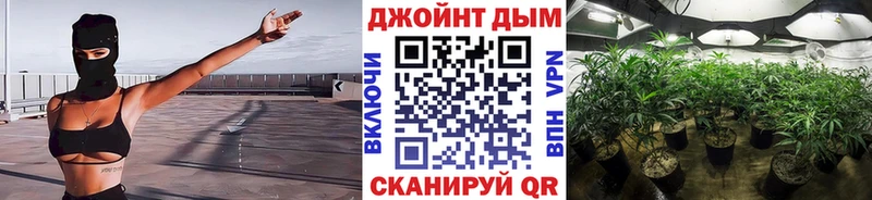 Бошки марихуана сатива  Купить закладки  Абаза 